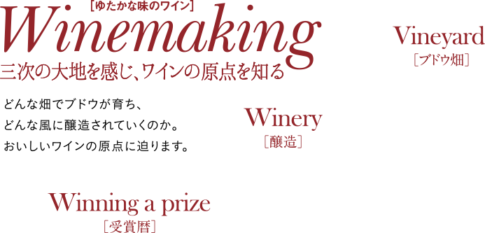 三次の大地を感じ、ワインの原点を知る｜どんな畑でブドウが育ち、どんな風に醸造されていくのか。おいしいワインの原点に迫ります。