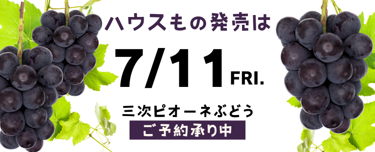 三次ピオーネぶどう先行ご予約受付中